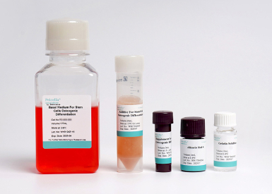 Набор для остеогенной дифференцировки МСК мыши (из жировой ткани), 200 мл