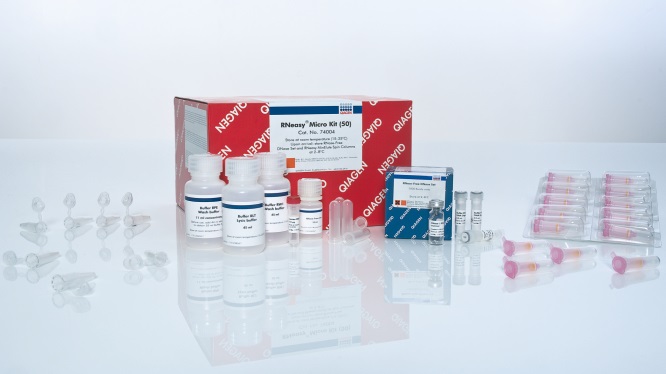 Набор реагентов для выделения общей РНК RNeasy Micro Kit