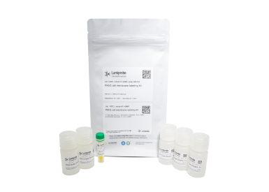 Краситель клеточных мембран PKH2 Cell Membrane Labeling, зеленая флуоресценция, 500 мкл + 50 мл 5× буфера