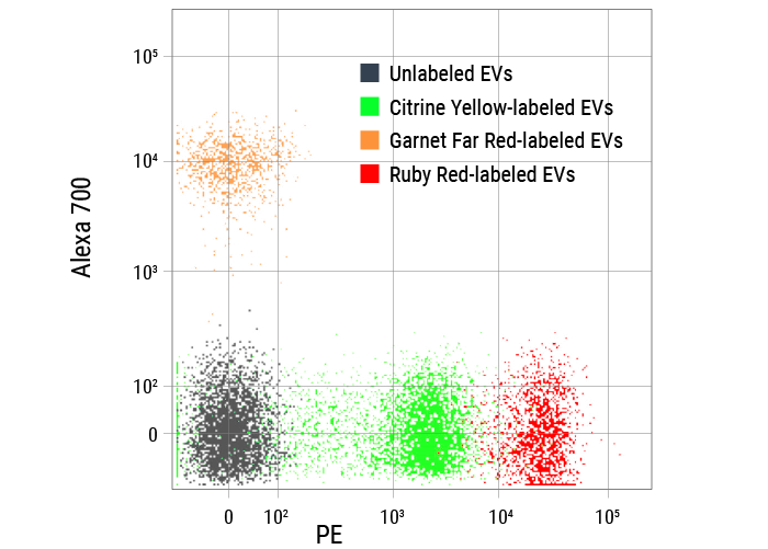 Набор для проточной цитометрии ExoFlow-ONE EV (Garnet Far Red), 25 реакций