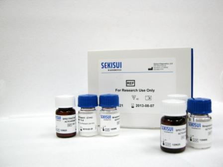 Тромбомодулин (рецептор CD141) (не для использования в медицинских целях)