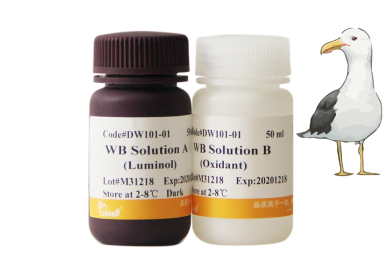 Набор с хемилюминесцентным субстратом HRP для вестерн-блоттинга EasySee® Western Blot Kit, 100 мл