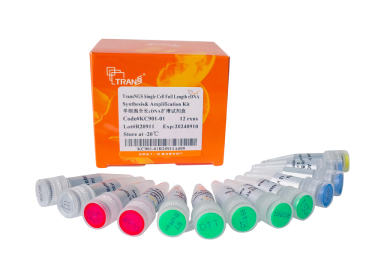 Набор TransNGS® Single Cell Full Length cDNA Synthesis&Amplification Kit для синтеза и амплификации полноразмерной кДНК из единичных клеток,12 реакций