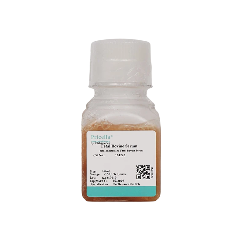 Эмбриональная бычья сыворотка (FBS), инактивированная нагреванием, 100 мл