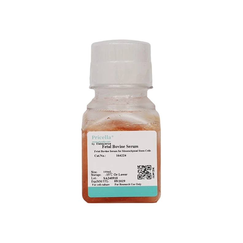 Эмбриональная бычья сыворотка (FBS) для мезенхимальных стволовых клеток, 100 мл
