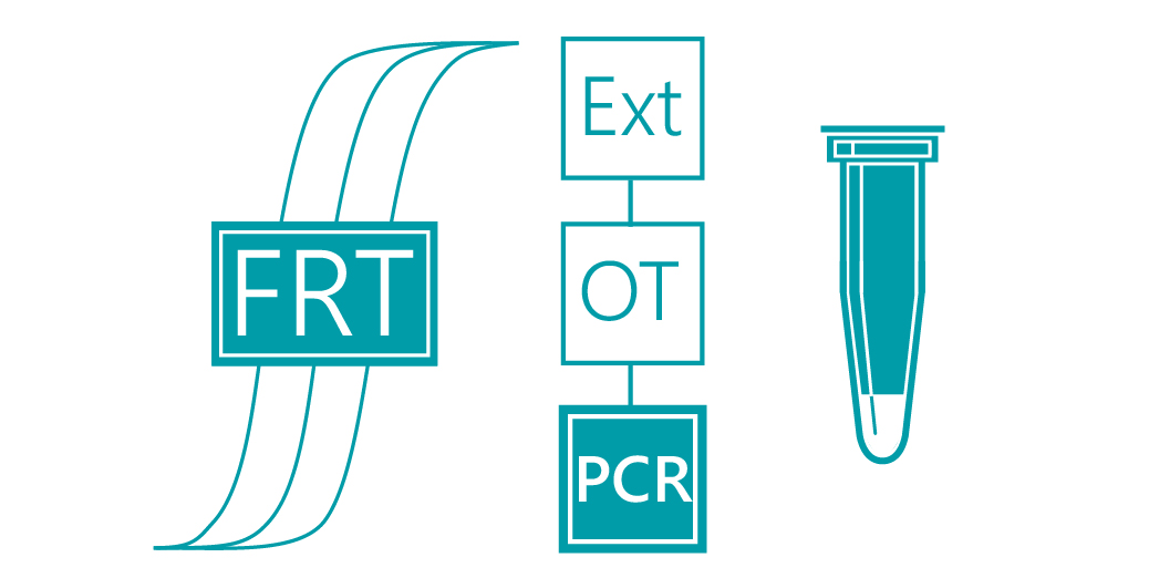 «АмплиСенс® Influenza virus B-тип-FL»