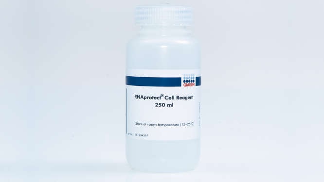 Набор для стабилизации нуклеиновых кислот в культуре клеток