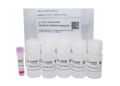 Краситель клеточных мембран PKH26 Cell Membrane Labeling, красная флуоресценция, 500 мкл + 50 мл 5× буфера