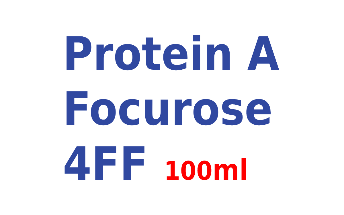 Сорбент Protein A Focurose 4FF для аффинной хроматографии, 100 мл