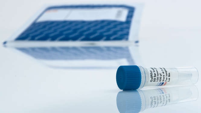 Молекулярные ДНК маркеры GelPilot DNA Loading Dye, 5x