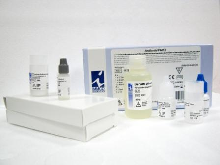 Антитела к стероид-продуцирующей тестикулярной ткани, субстрат ткани тестикул примата (иммунофлуоресцентный метод)