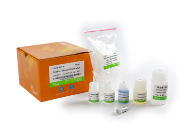 Набор EasyPure® Plasmid MiniPrep Kit для выделения до 40 мкг плазмидной ДНК из 1-20 мл культуры E. coli, 200 реакций