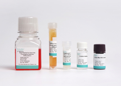 Набор для хондрогенной дифференцировки МСК мыши (из жировой ткани), 100 мл