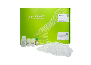 Набор QuDye dsDNA HS Assay Kit для количественного определения двухцепочечной ДНК (0,2—100 нг), 500 реакций