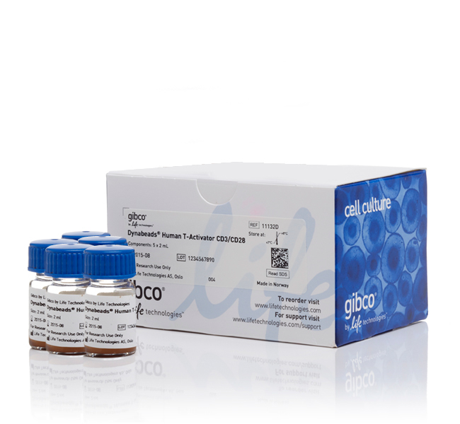 Магнитные частицы DYNABEADS HUMAN T-ACT CD3/CD28 10 ML (5 X 2 ML)  (не для использования в медицинских целях)