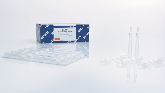 Набор колонок для выделения геномной ДНК 20/G