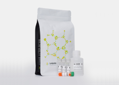 Набор QuDye Protein Quantification Kit для количественного определения белка (0,25—5 мкг), 500 реакций