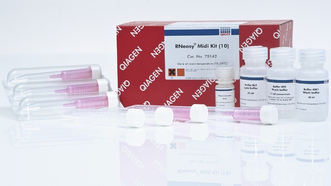 Набор  реагентов для выделения общей РНК RNeasy Midi Kit