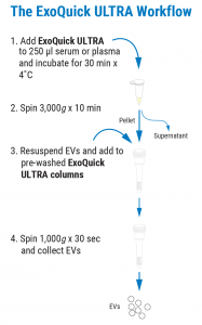 Набор ExoQuick® ULTRA EV для выделения экзосом из плазмы и сыворотки, 20 реакций