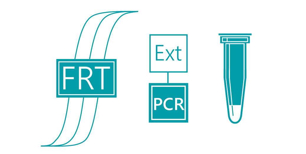 «АмплиСенс® Пневмо-квант-FL»