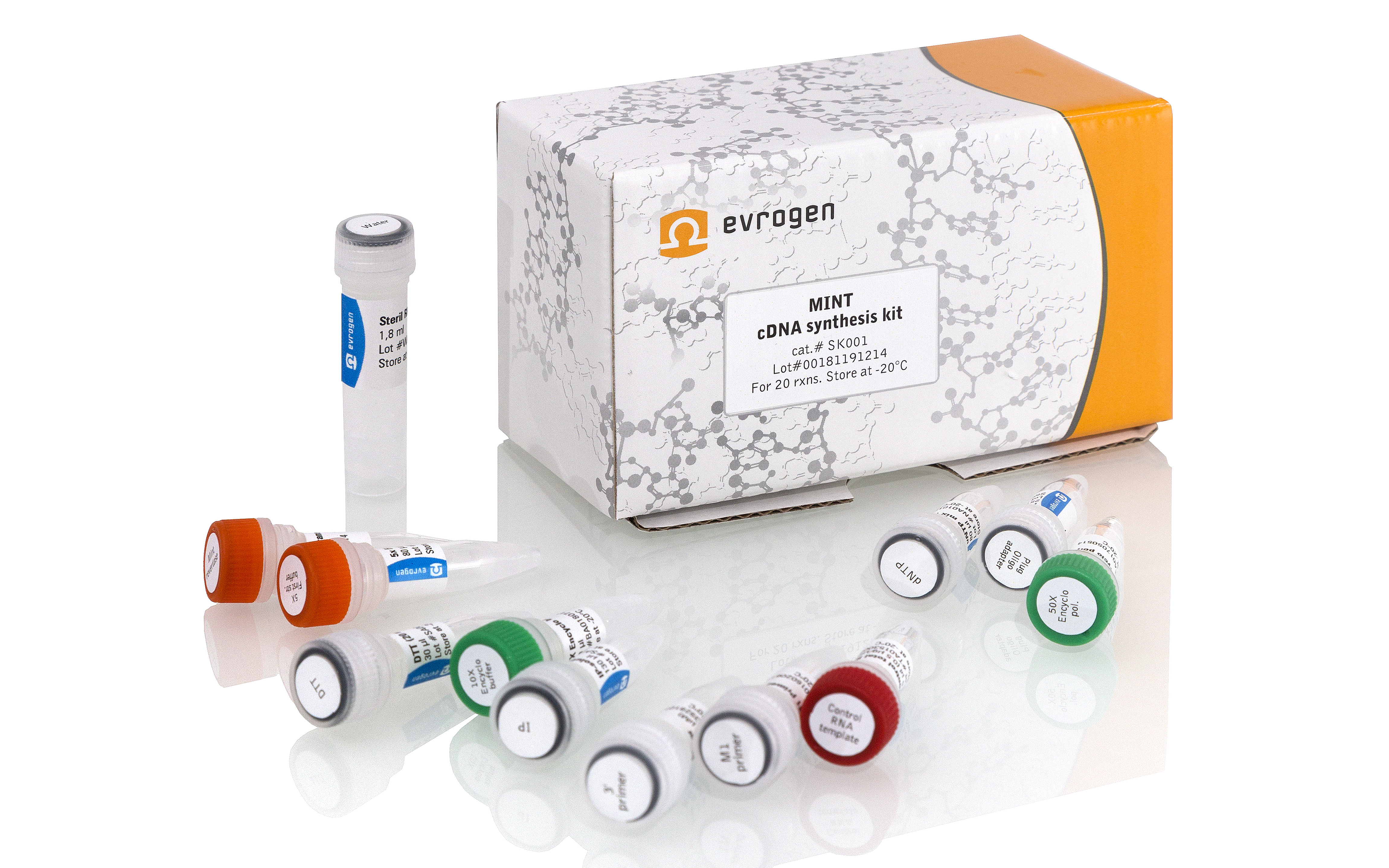 Набор Mint для синтеза кДНК со сменой матрицы (SMART), 20 реакций по 10 мкл
