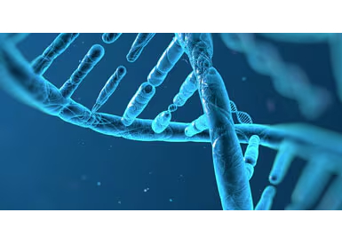 Зонды TaqMan™ для оценки экспрессии генов