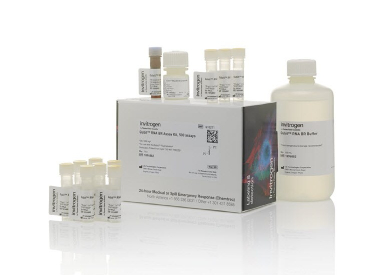 Набор Qubit RNA BR Assay Kit для количественного определения РНК, 10—1200 нг, 500 реакций