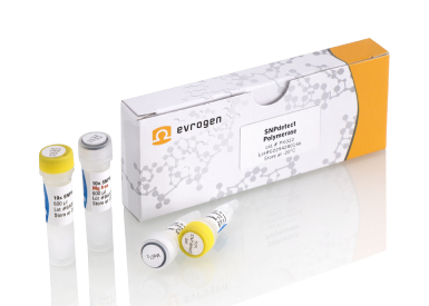 Высокоточная ДНК-полимераза SNPdetect с "горячим стартом", 1000 е.а. (200 реакций по 25 мкл)