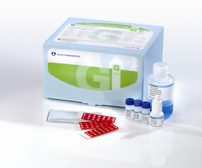 IgA-антитела к видовым антигенам Chlamydia (SeroFIA, IgА)