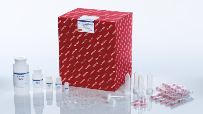 Набор реагентов для очистки РНК из экзосом exoRNeasy Serum/Plasma Maxi Kit