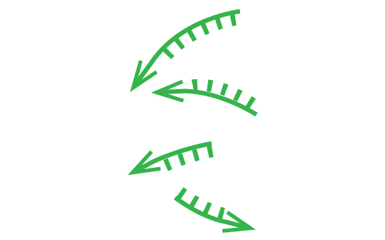 Набор праймеров Mint RACE primer set для специфической амплификации концевых фрагментов кДНК, 200 реакций по 25 мкл