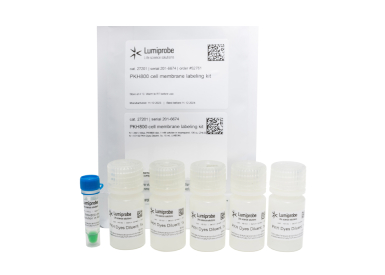 Краситель клеточных мембран PKH800 Cell Membrane Labeling, флуоресценция в ближнем ИК, 100 мкл + 10 мл 5× буфера