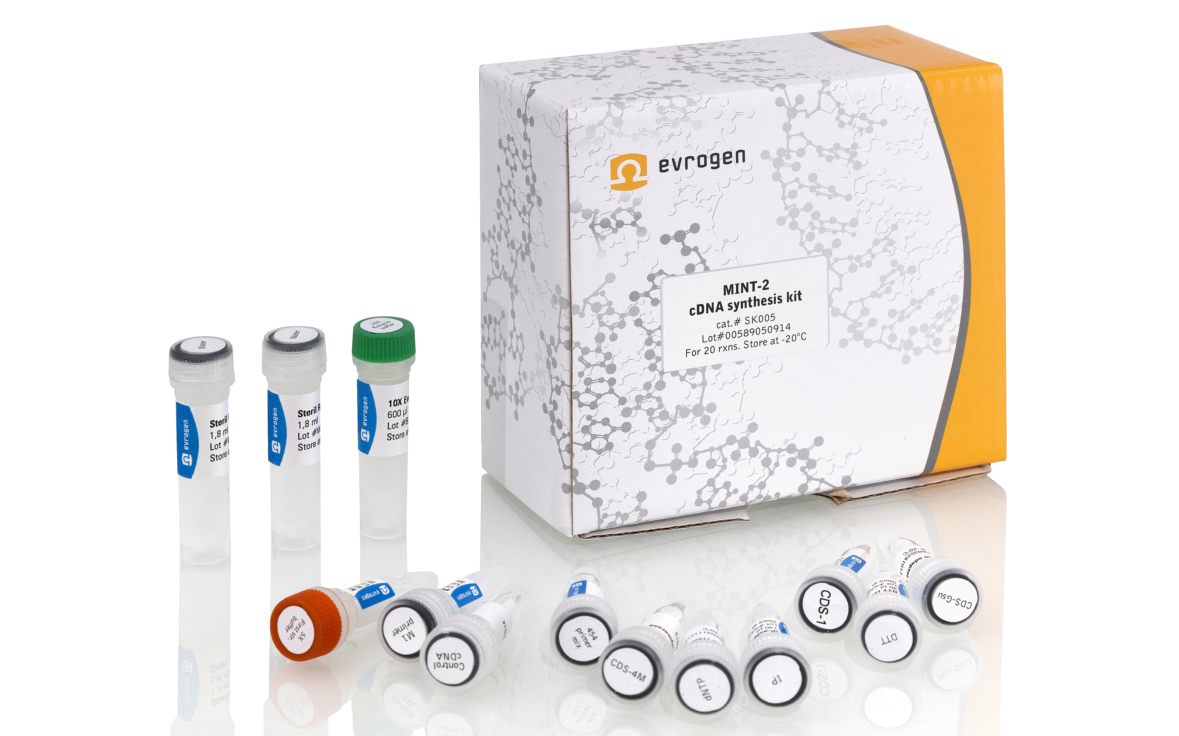 Набор Mint-2 для синтеза кДНК со сменой матрицы (SMART), 20 реакций по 10 мкл