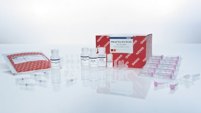 Набор  реагентов для выделения РНК из клеток со стабилизатором RNeasy Protect