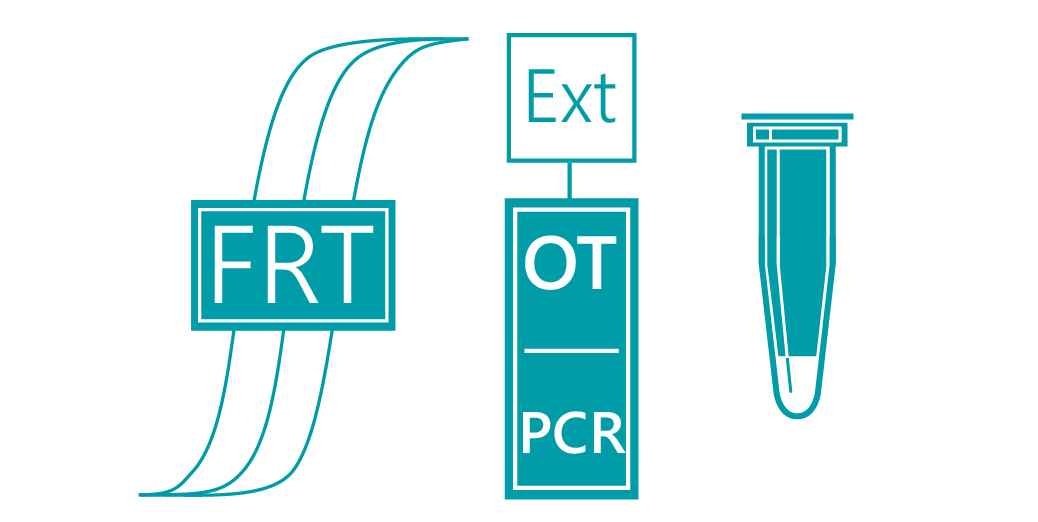 «АмплиСенс® Human enterovirus-FL»