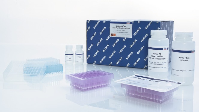 Набор реагентов для продуктов ПЦР в планшетном формате (96)  в объеме до 10 мкл,