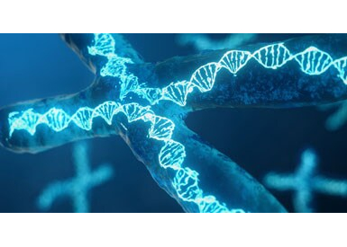 Зонды TaqMan™ для SNP-генотипирования