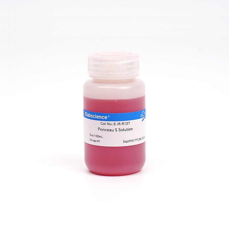 Раствор красителя Понсо S (Ponceau S Solution) (1 мг/мл) для детекции белков на мембранах из ПВДФ, нитроцеллюлозы и ацетата целлюлозы, 200 мл
