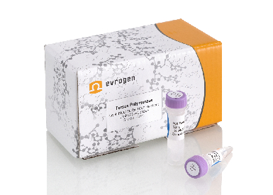 Высокоточная ДНК-полимераза Tersus, 1000 реакций по 25 мкл