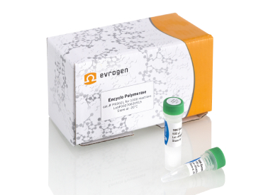 ДНК-полимераза Encyclo для амплификации длинных фрагментов ДНК, 200 реакций по 25 мкл