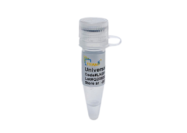 Универсальная нуклеаза (250 е.а./мкл), GMP Grade, 100 000 е.а.