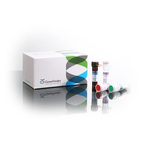 Набор реалтайм GeneFinder HLA-DQB1 RealAmp