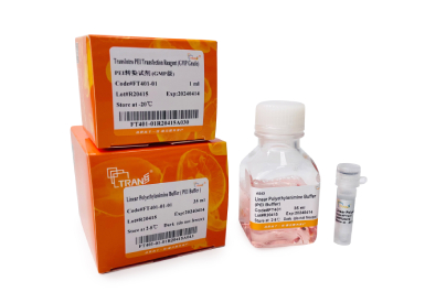 Реагент для трансфекции TransIntro® PEI (полиэтиленимин), GMP Grade, 10 мл