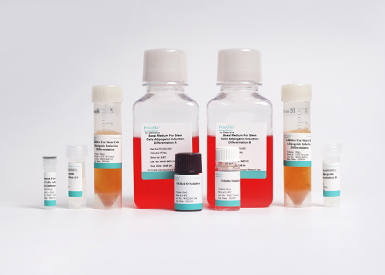 Набор для адипогенной дифференцировки МСК мыши (из жировой ткани), 400 мл