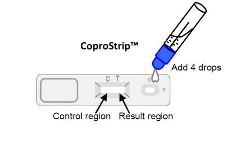 Стрептококки группы А (антиген)