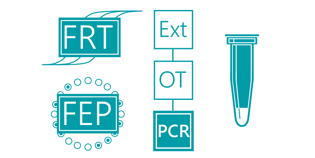 «АмплиСенс® Human enterovirus-FL»