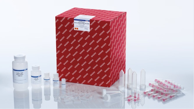 Набор реагентов для очистки РНК из экзосом exoRNeasy Serum/Plasma Midi Kit