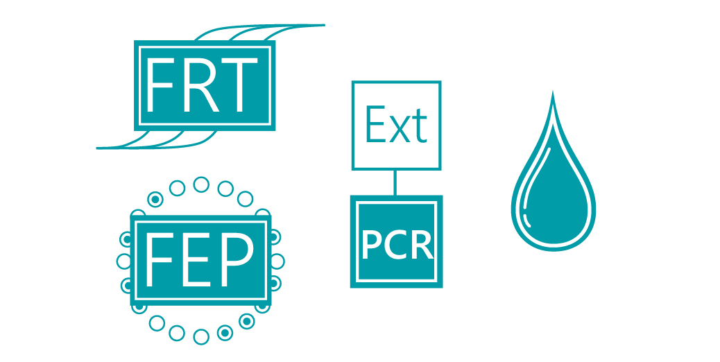 «АмплиСенс® Salmonella typhi-FL»