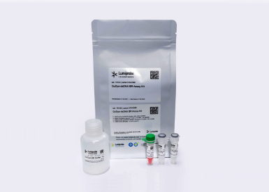 Набор QuDye dsDNA HS Assay Kit для количественного определения двухцепочечной ДНК (0,2—100 нг) (не для использования в медицинских целях)