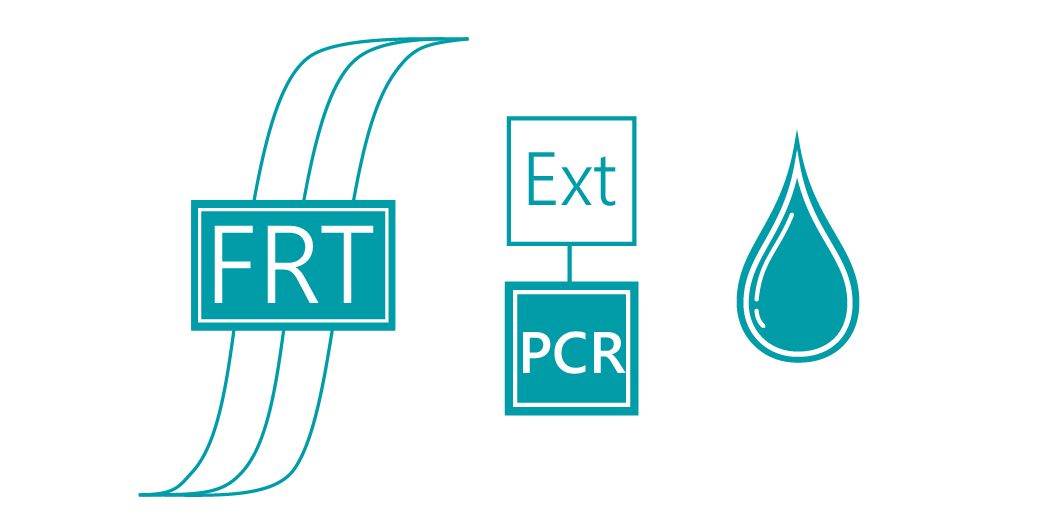 «АмплиСенс® HHV7-скрин/монитор-FL»